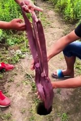Amazing Fishermans Skills