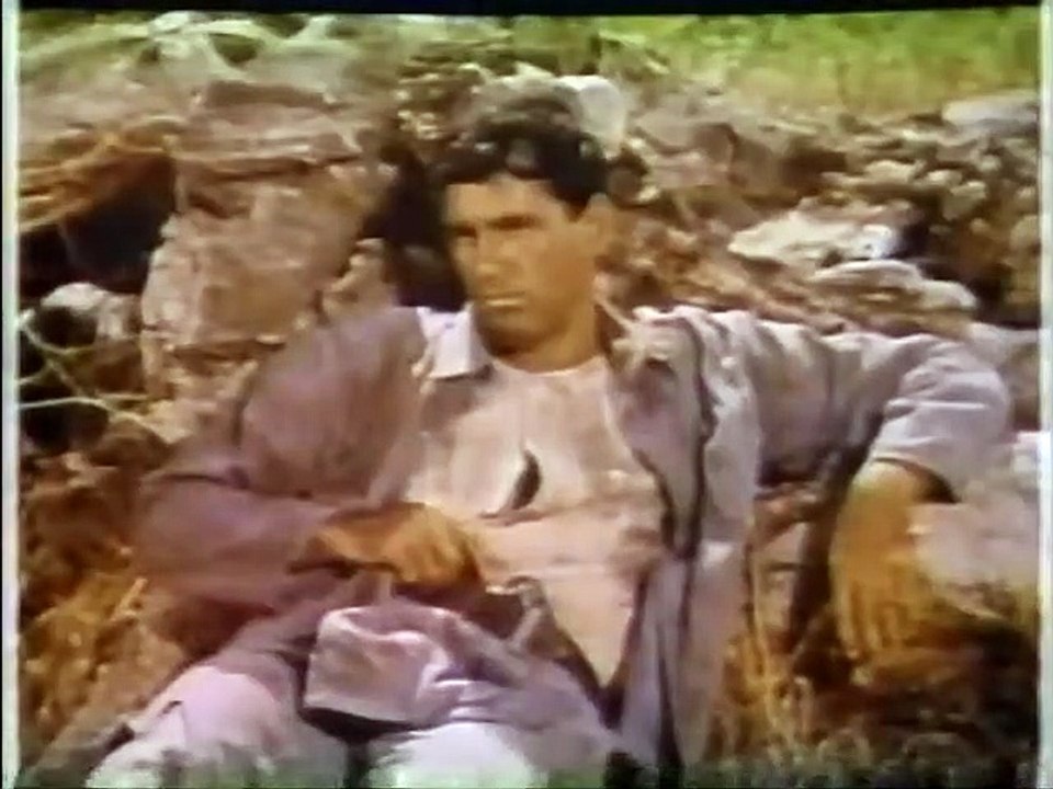 My Friend Flicka  S1E07   The Stranger