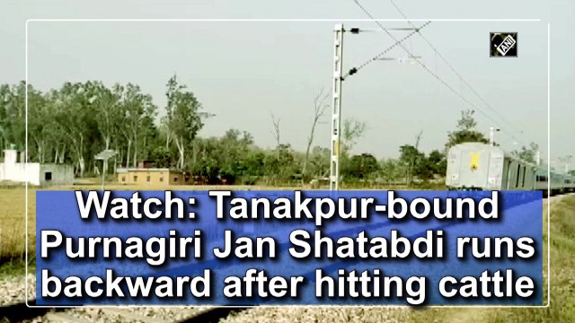 Watch: Tanakpur-bound Purnagiri Jan Shatabdi runs backwards after hitting cattle