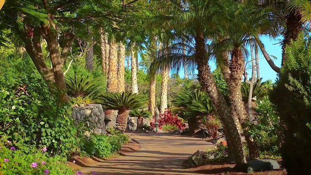 Amazigh Song - Mkar Tla Touga - Lhaj Belaid (Morocco)