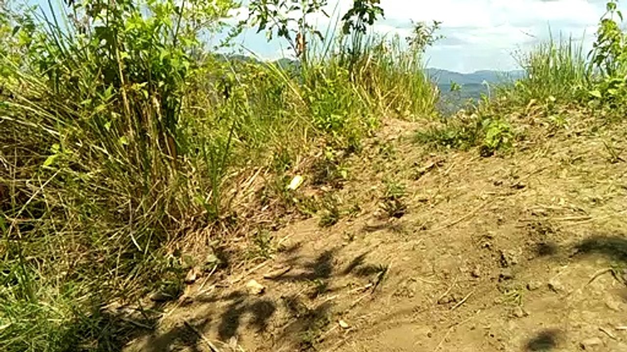Clean and Green
