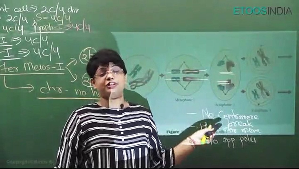 cell cycle & cell devision(1)
