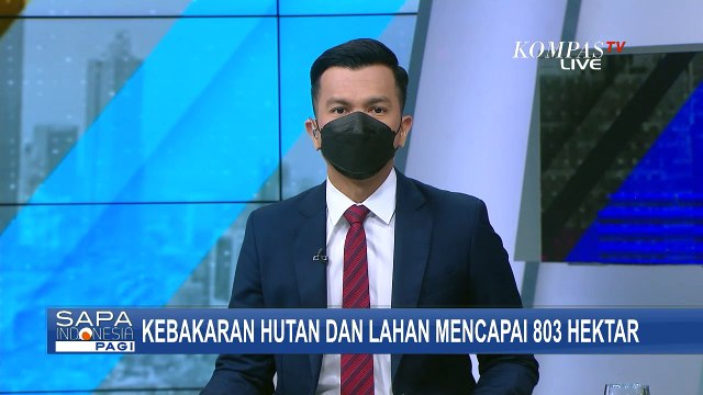 Kebakaran Hutan dan Lahan di Riau Meluas! Heli Water Bombing Dikerahkan