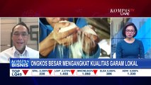 Bagaimana Dampat Garam Impor Terhadap Industri Lokal?