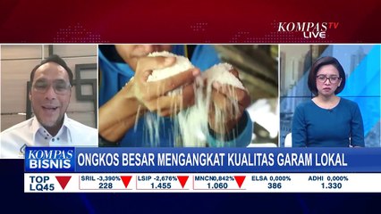 Bagaimana Dampat Garam Impor Terhadap Industri Lokal?