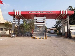 मंडी में दो हजार रुपये क्विंटल तक बिका गेहूं