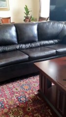 Gergerlioğlu'dan geceyi geçirdiği TBMM'deki HDP toplantı odasından mesaj: AYM kararına kadar buradan ayrılmıyorum, burası demokrasi nöbeti yeri olacak