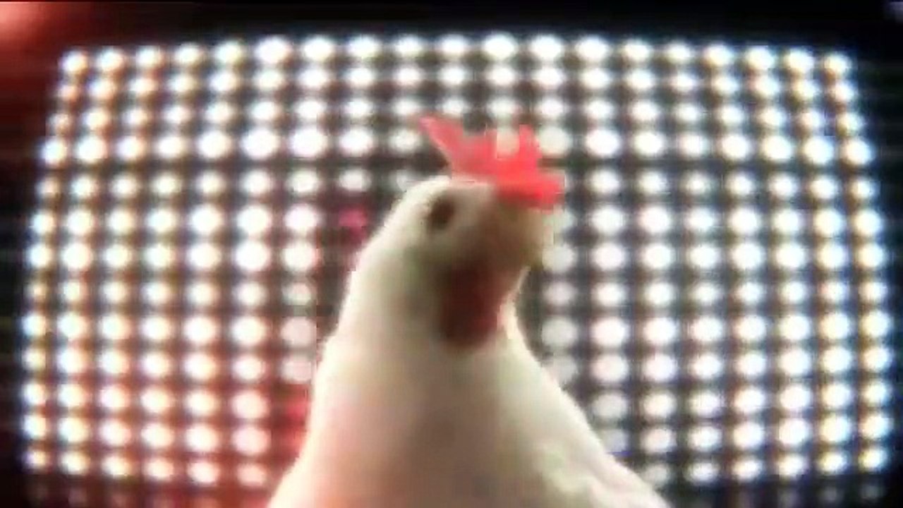 J.Geco - Chicken Song