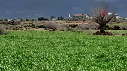 Hatay'da çatışma: 4 terörist ölü ele geçirildi