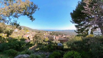 Bormes-les-Mimosas