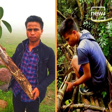 Meet Morningstar Khongthaw, Who Preserves Centuries-Old Living Root Bridges