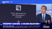 Passeport sanitaire: le sésame obligatoire pour voyager? - BFMTV répond à vos questions