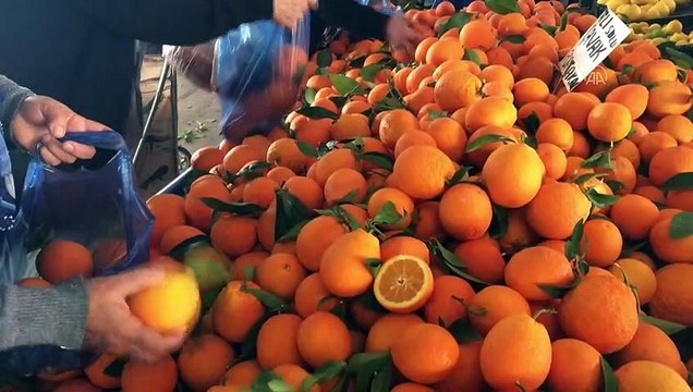 MERSİN - Turunçgilde 5 aylık ihracat yüzde 12 artışla 813 milyon dolar oldu