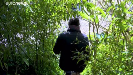 La Ley de eutanasia | Las razones para querer morir