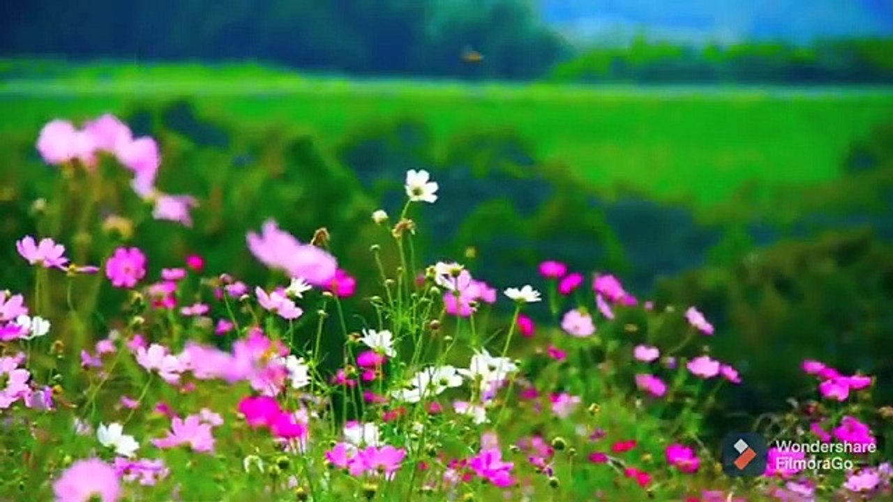 Rejuvenate and Relax music. Sleep music,  Meditation music. Happy music. Lovely and calm music..