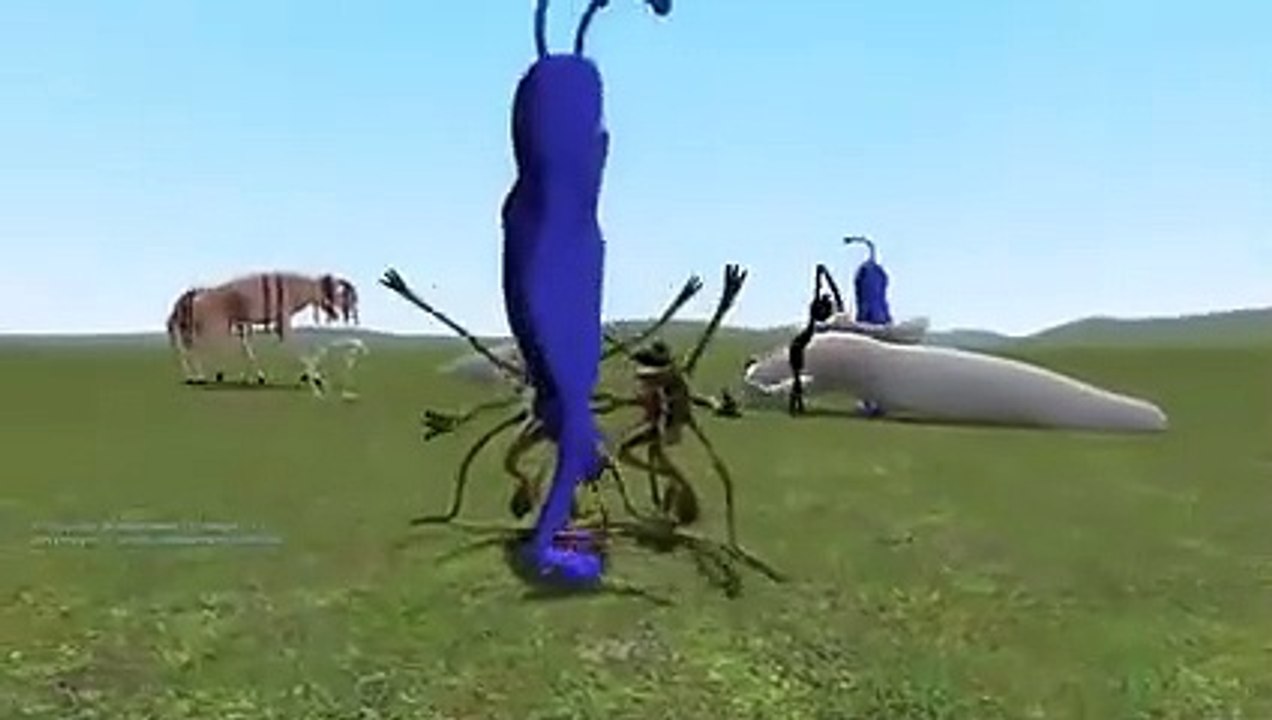 Ribbit Vs Trevor Game Fun