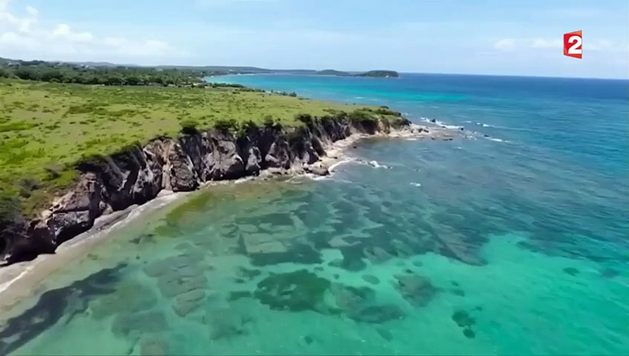 Une baie magique au large de Porto Rico