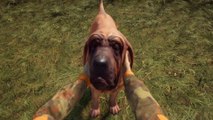 theHunter: Call of the Wild | Official Bloodhound DLC Reveal Trailer