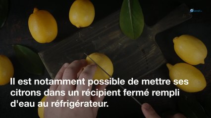 Cuisine : l’astuce pour conserver vos citrons plus de 3 mois !