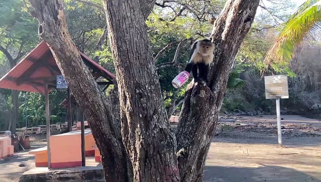 ext-mono-lata-refresco-180321