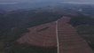 Son dakika haberleri... Bursalı 4 bin 92 Çanakkale şehidi için hatıra ormanı oluşturuldu
