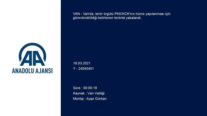 VAN - Terör örgütü PKK'nın, hücre yapılanması için görevlendirdiği terörist yakalandı