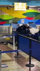 Altercado entre dos hombres y agentes de la Policía en el AILA