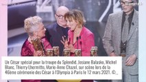 Le Splendid - Josiane Balasko ex-compagne de Bruno Moynot : comment se sont-ils rencontrés ?