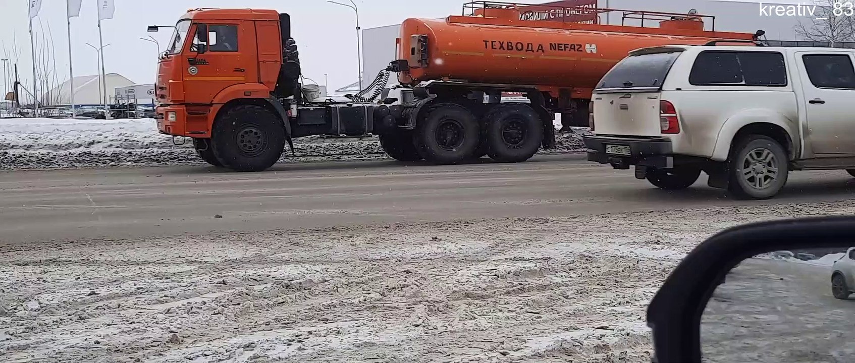 Wild Bear Runs Through Streets in Russia