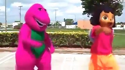 PERROS Y GATOS GRACIOSOS