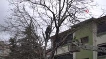 Arı kovanları ve ormanları yaktığı gerekçesiyle ceza gelen vatandaş, intihar için ağaca çıktı