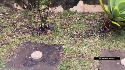 ext-lluvias-en-coronado-180321