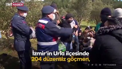 Arazide mahsur kalan 204 düzensiz göçmen kurtarıldı