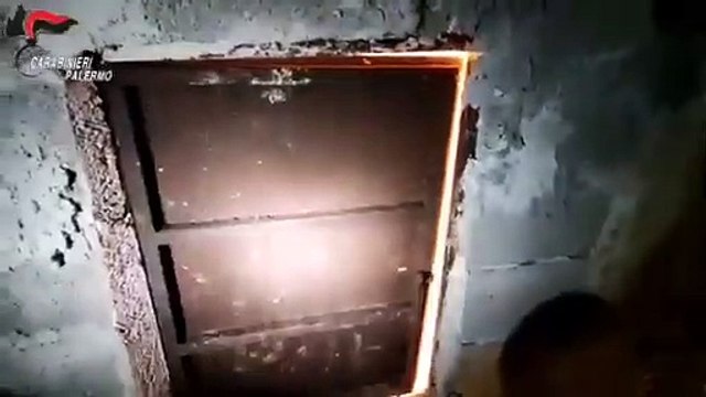 Palermo - Scoperte due serre di cannabis 4 arresti (22.03.21)