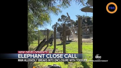 Un papa pénètre dans l'enclos d'un éléphant dangereux avec sa fille