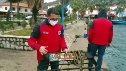 MUĞLA - Marmaris'te dalgıçlar deniz dibi ve balıkçı barınaklarını temizledi