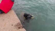 Marmaris'te dalgıçlar deniz dibi ve balıkçı barınaklarını temizledi