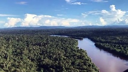 US$ 20 milhões para fundo de desenvolvimento sustentável da Amazônia