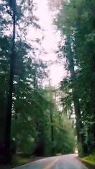 MY DRIVING SONG TO THIS BEAUTIFUL PLACE 