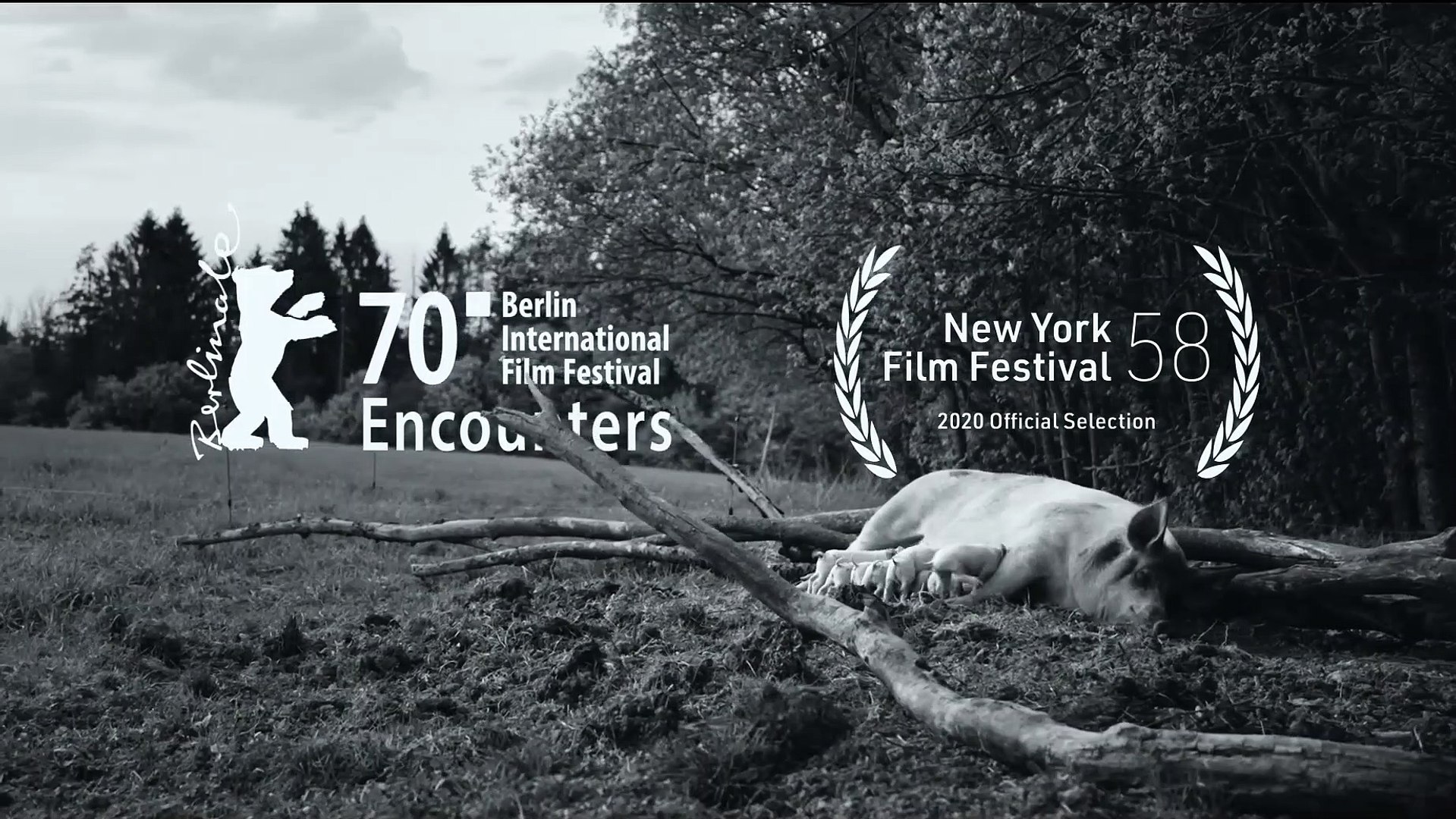 GUNDA Documentary Trailer