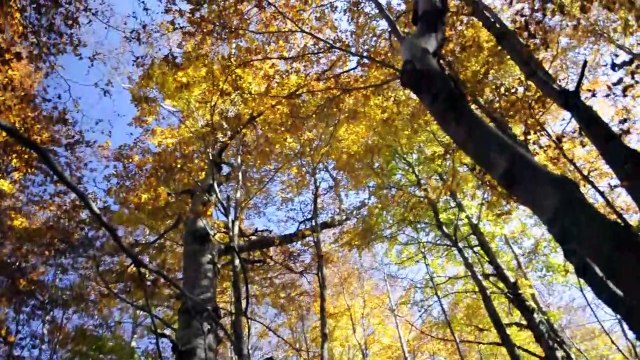 SAB.20-10-18- CIMA DEL LAGO VIVO (1963 METRI) DA VICINO BARREA NEL PARCO NAZIONALE D' ABRUZZO.