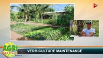 “VERMICULTURE MAINTENANCE” Ep.5 AGRI Ako D’yan