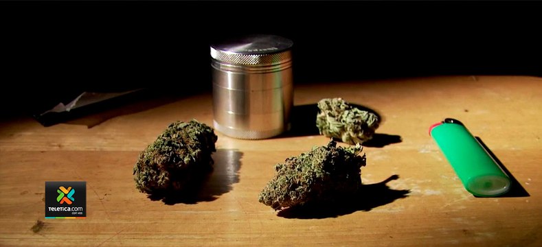 tn7-Efectos-de-la-marihuana-en-niños-es-impredecible-y-pueden-durar-60-horas-180321