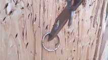 Guy Pins Ring on Wooden Wall by Throwing Knife Through it