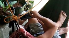 nag lalaru ng dragun mania ang lulu ko