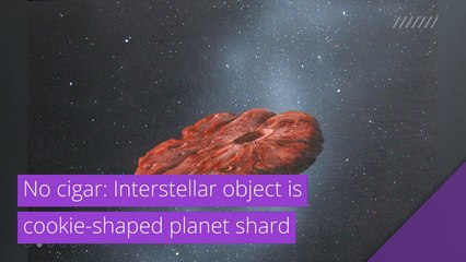 No cigar: Interstellar object is cookie-shaped planet shard, and other top stories in strange news from March 19, 2021.