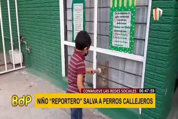 Niño "reportero" salva a perros callejeros