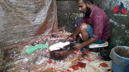 Amazing Fish Cutting In Bangladesh