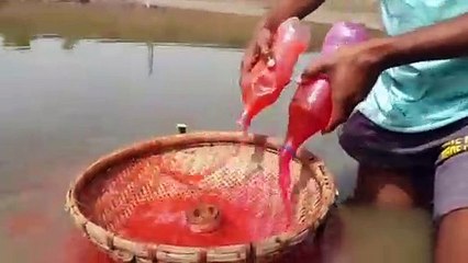 Unbelievable Fishing Technique  Underground Monster Catfish Catching New Style  Best Fish Video | CreativeVilla.