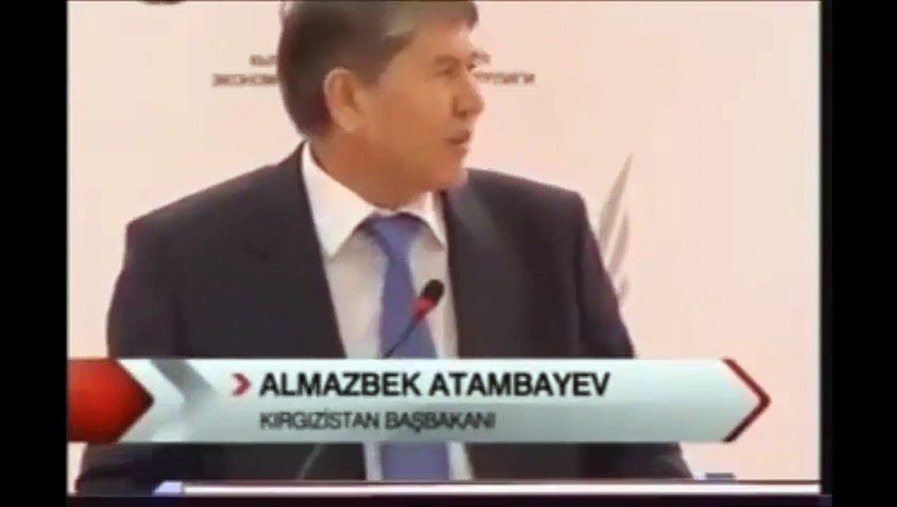 'Tayyip abi'